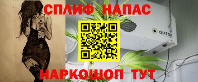 СК Абинск