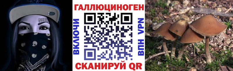 Псилоцибиновые грибы GOLDEN TEACHER  даркнет сайт  Заринск 