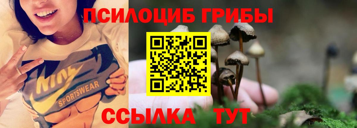 Псилоцибиновые грибы прущие грибы Заринск