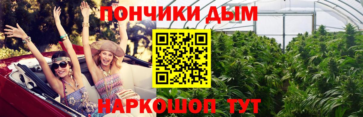 Бошки Шишки Заринск